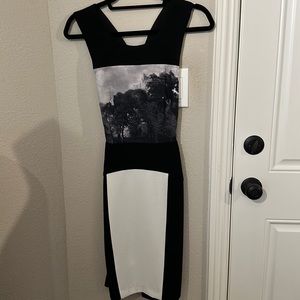 BCBG COCKTAIL DRESS